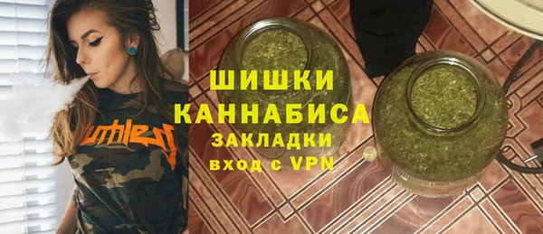 эйфоретик Бородино